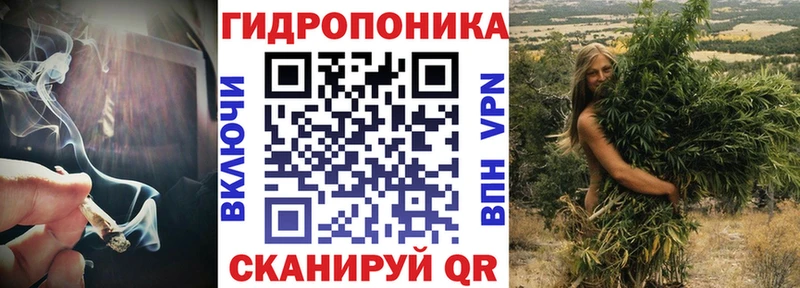 даркнет телеграм Кириши Бошки Шишки индика цена наркотик